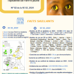 Rapport de situation de l’épidémie de Fièvre jaune CAMEROUN N° 02 de la SE 02_2024