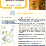 Rapport de situation de l’épidémie de Fièvre jaune CAMEROUN N° 05 de la SE 05_2024